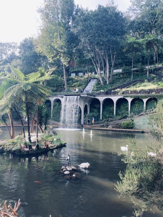 One of the most beautiful botanical gardens in the world: Monte Palace, Funchal in Madeira
