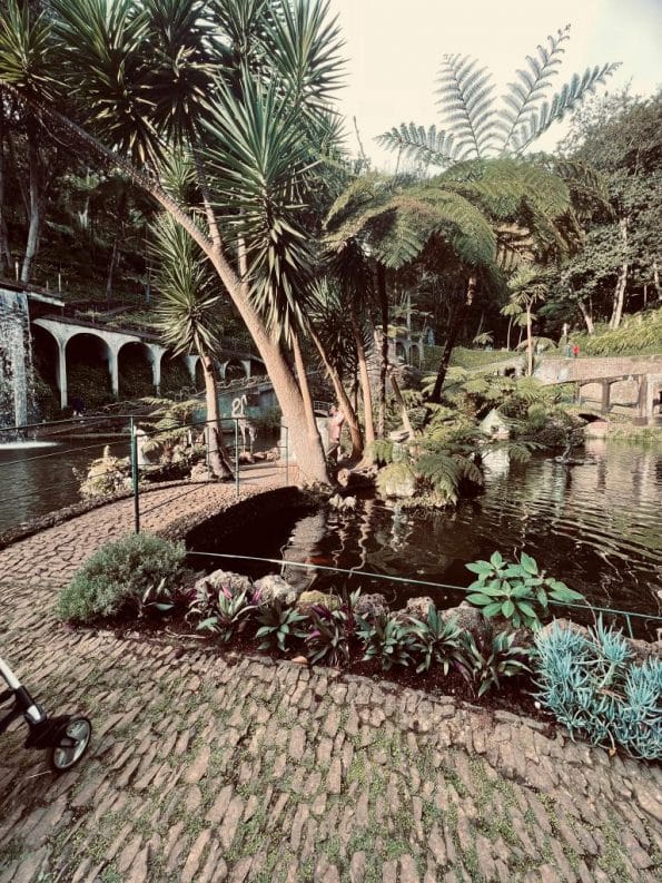 Verzaubern lassen im tropischen Garten Monte Palace, Funchal